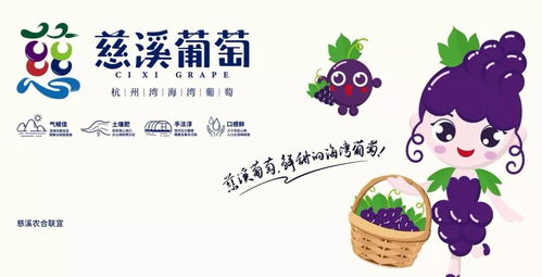 慈溪市第十三屆葡萄節(jié)暨新浦鎮(zhèn)第二屆群眾文化藝術節(jié)開幕式隆重舉行